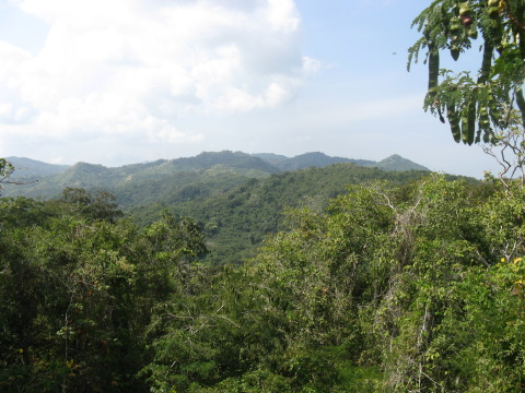 Santuario de Flora y Fauna Los Colorados